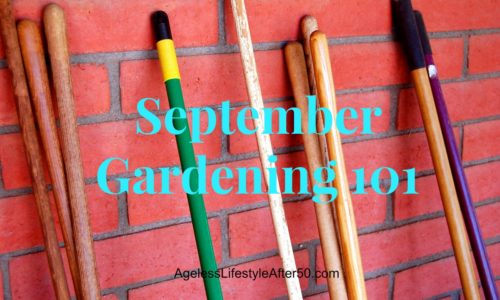 September Gardening Tips