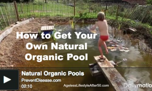 Natural Organic Pool
