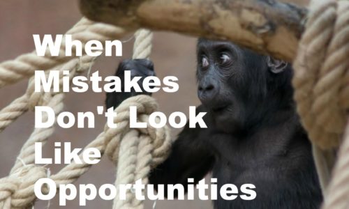 When Mistakes Don't Look Like Opportunities
