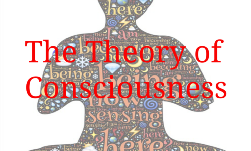 The Theory of Consciousness
