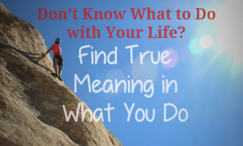 I don't know what to do with my life