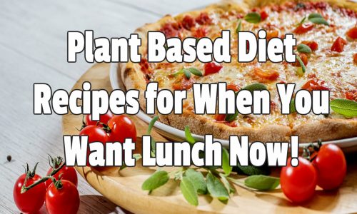 Plant Based Diet Recipes for When You Want Lunch Now